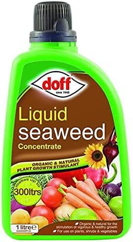 1L Liquid Seaweed Concentrated Multi-Purpose Feed